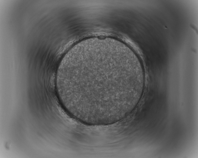 X0000102770009200809081015