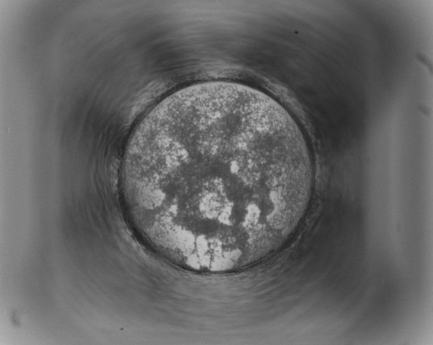 X0000102770010200809081015