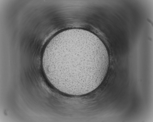 X0000102770012200809081015