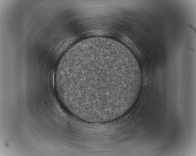 X0000102770014200809081015