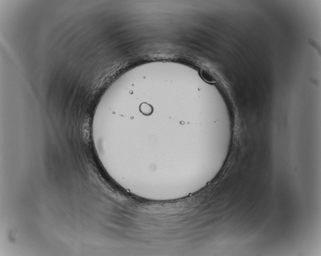 X0000102770017200809081015