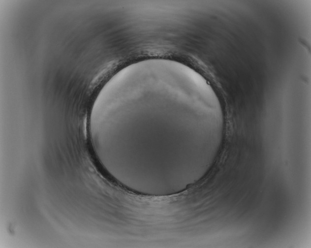 X0000102770019200809081015