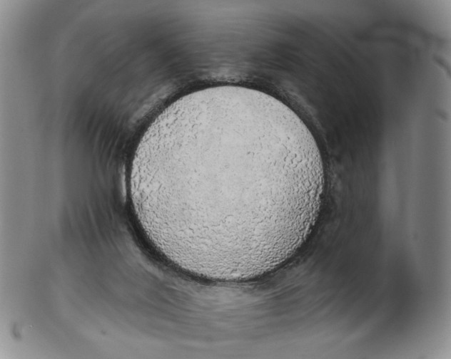 X0000102770020200809081015