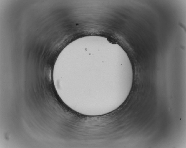 X0000102770021200809081015