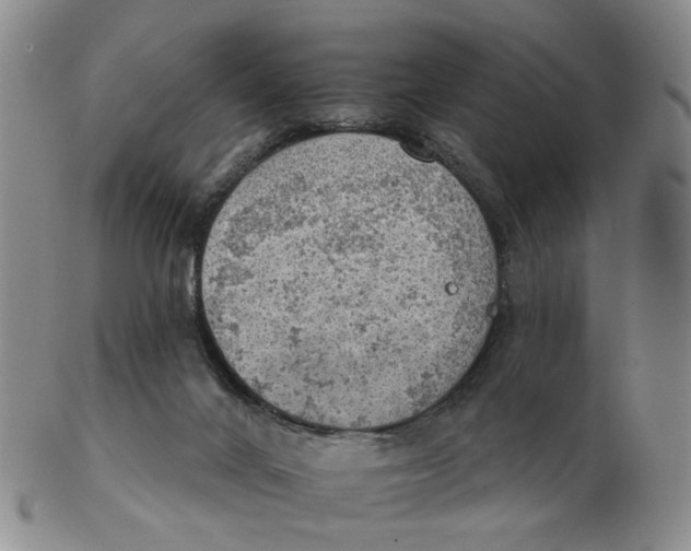 X0000102770024200809081015