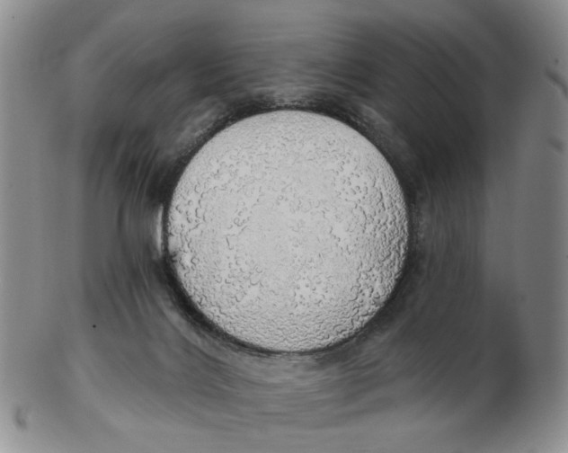 X0000102770028200809081015