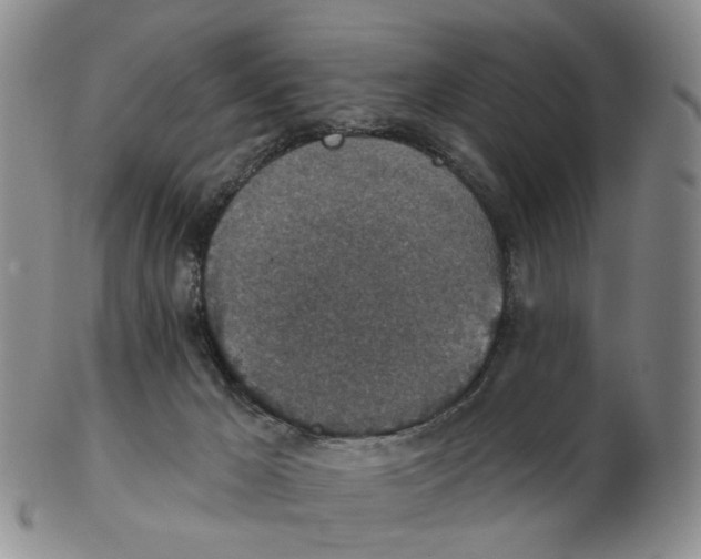 X0000102770029200809081015