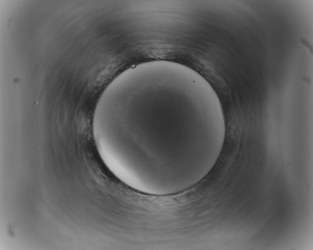 X0000102770031200809081015