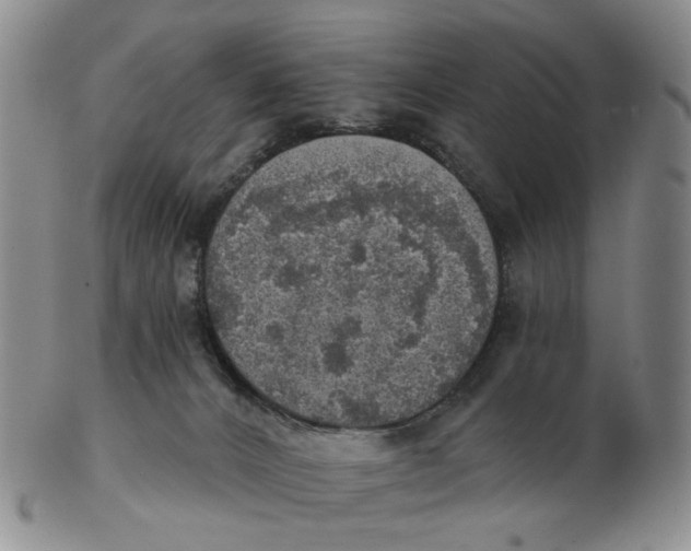 X0000102770032200809081015