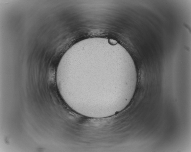 X0000102770033200809081015