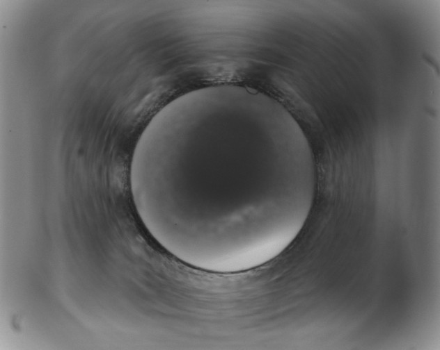 X0000102770035200809081015