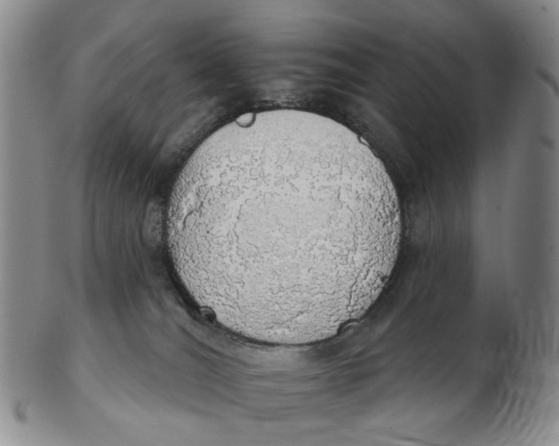 X0000102770036200809081015