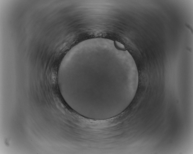 X0000102770039200809081014