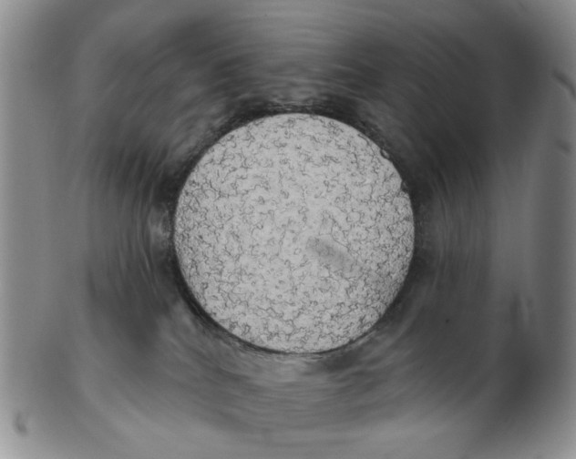 X0000102770040200809081014