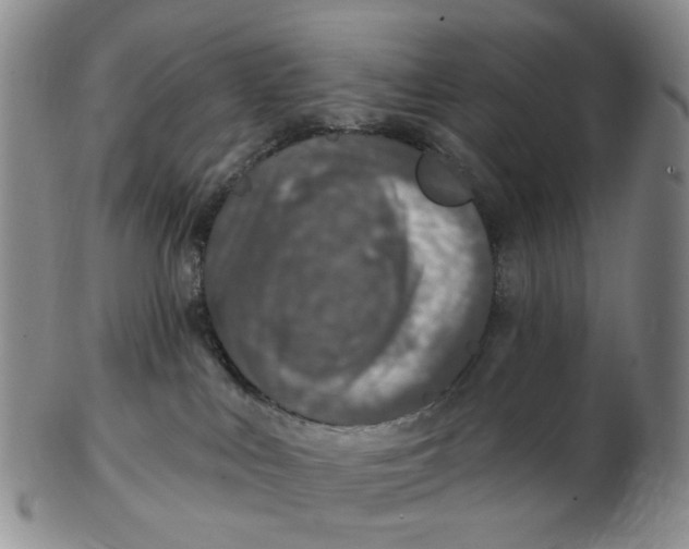 X0000102770043200809081014