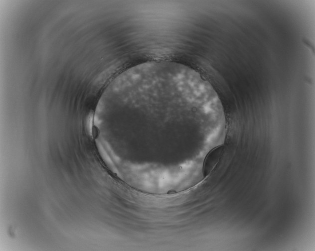 X0000102770047200809081014