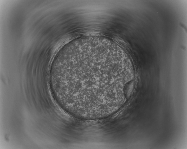 X0000102770049200809081014