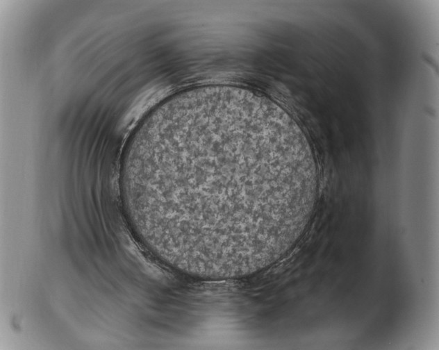 X0000102770050200809081014