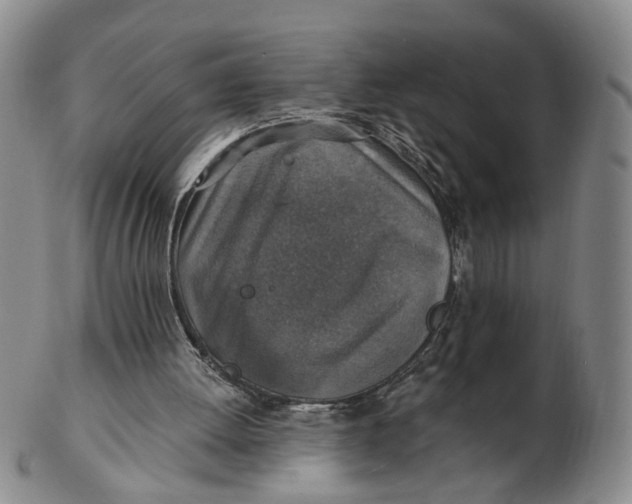 X0000102770052200809081014