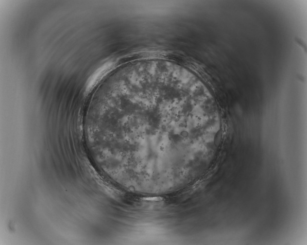 X0000102770053200809081014