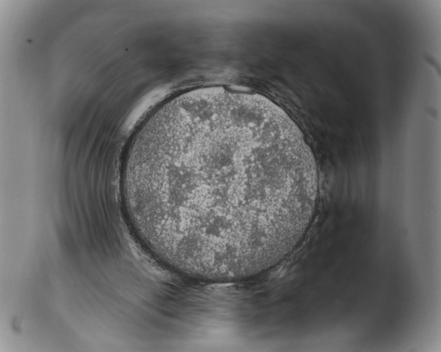 X0000102770054200809081014