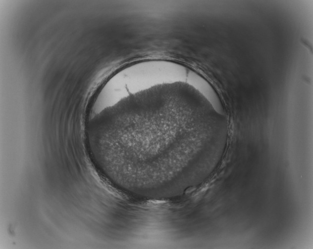 X0000102770055200809081014