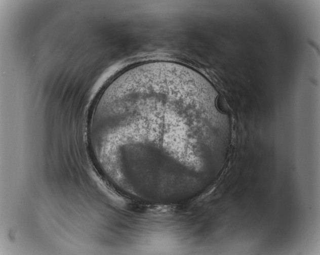 X0000102770056200809081014