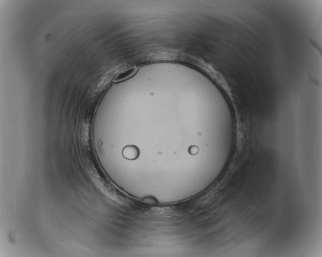 X0000102770057200809081014