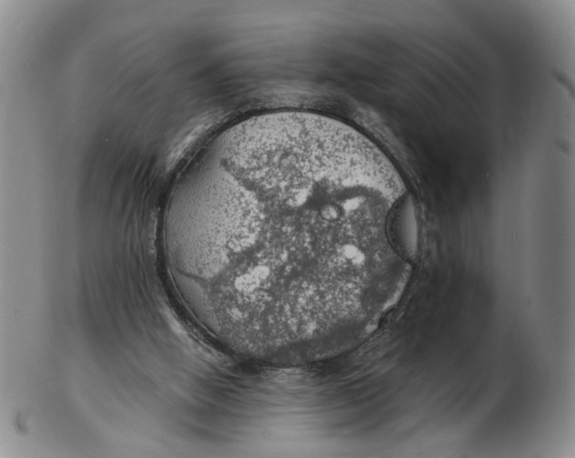 X0000102770058200809081014