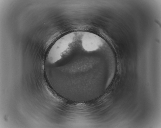 X0000102770059200809081014