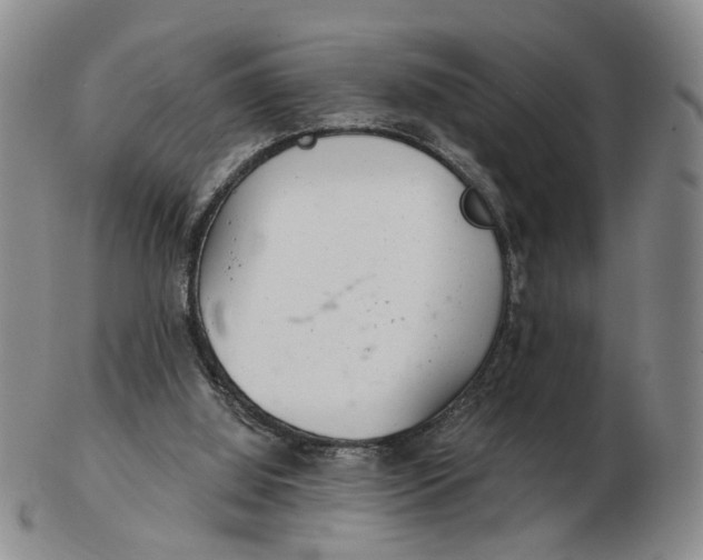 X0000102770060200809081014