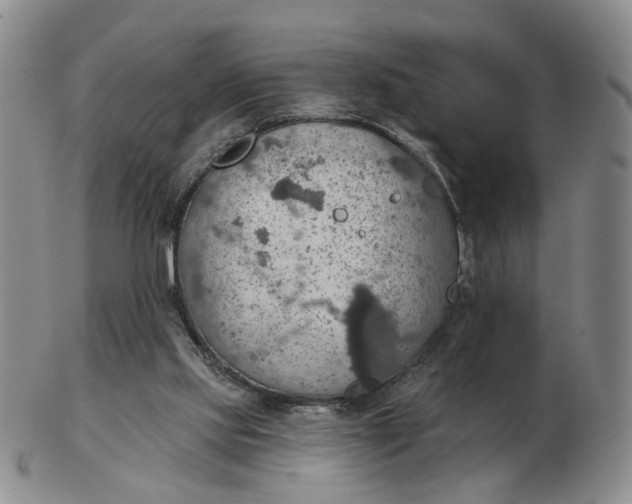 X0000102770061200809081014