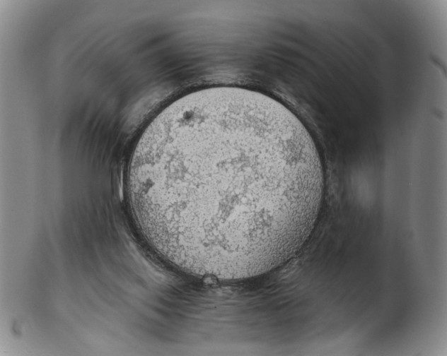 X0000102770062200809081014