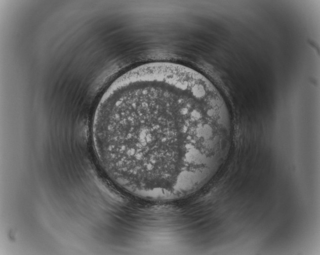 X0000102770063200809081014