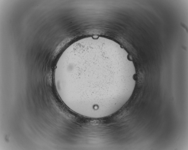 X0000102770064200809081014