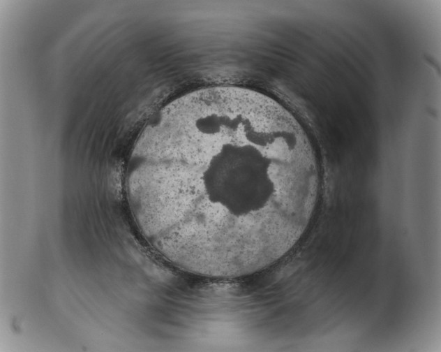 X0000102770065200809081014