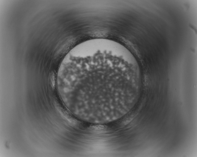 X0000102770069200809081014