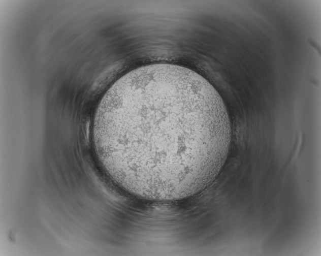 X0000102770070200809081014