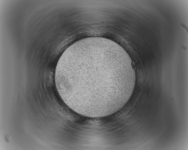 X0000102770071200809081014