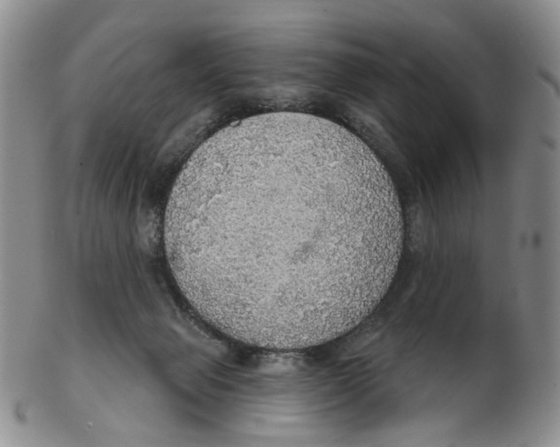 X0000102770077200809081014