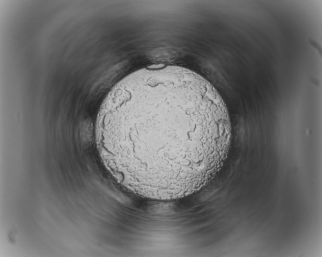 X0000102770081200809081014