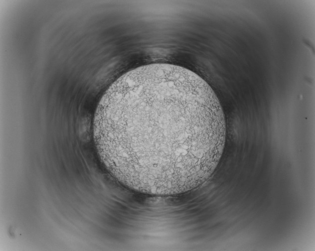 X0000102770082200809081014