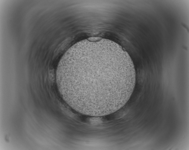 X0000102770085200809081014