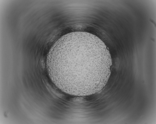 X0000102770086200809081014