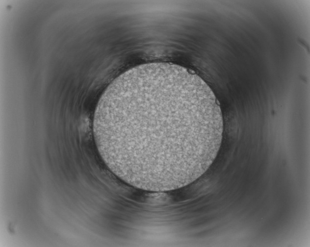 X0000102770087200809081014