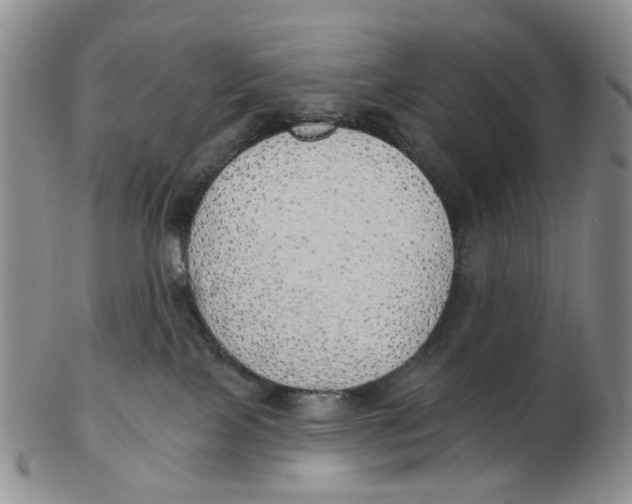 X0000102770089200809081014