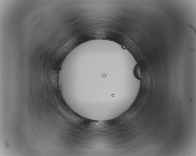 X0000102770092200809081014