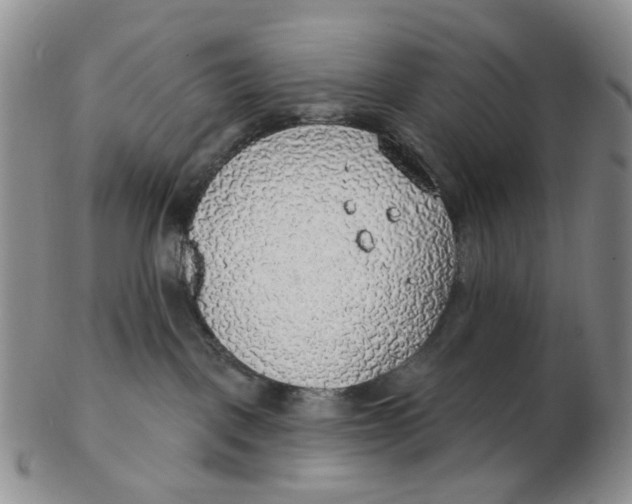 X0000102770093200809081014