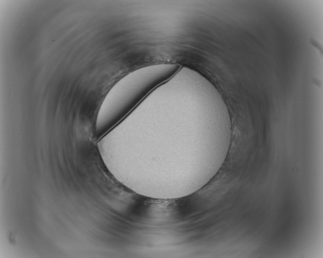 X0000102770096200809081014