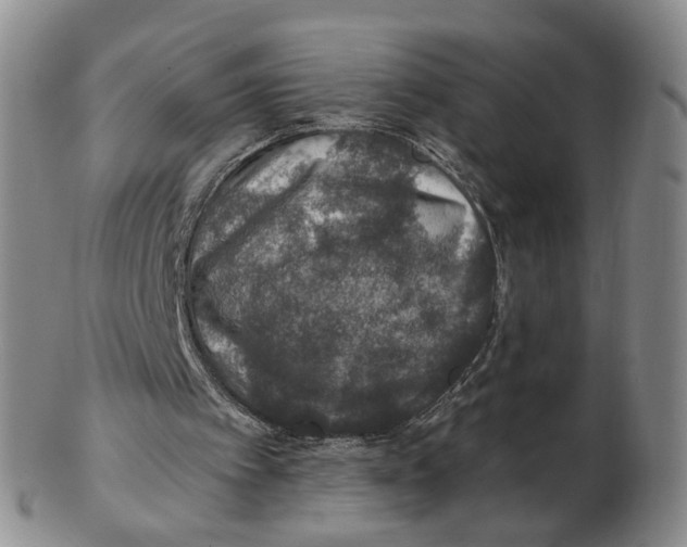 X0000102770097200809081014